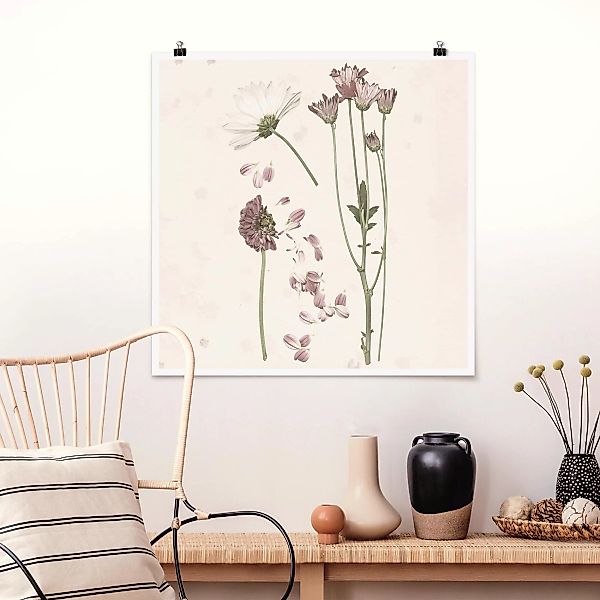 Poster Blumen - Quadrat Herbarium in rosa II günstig online kaufen