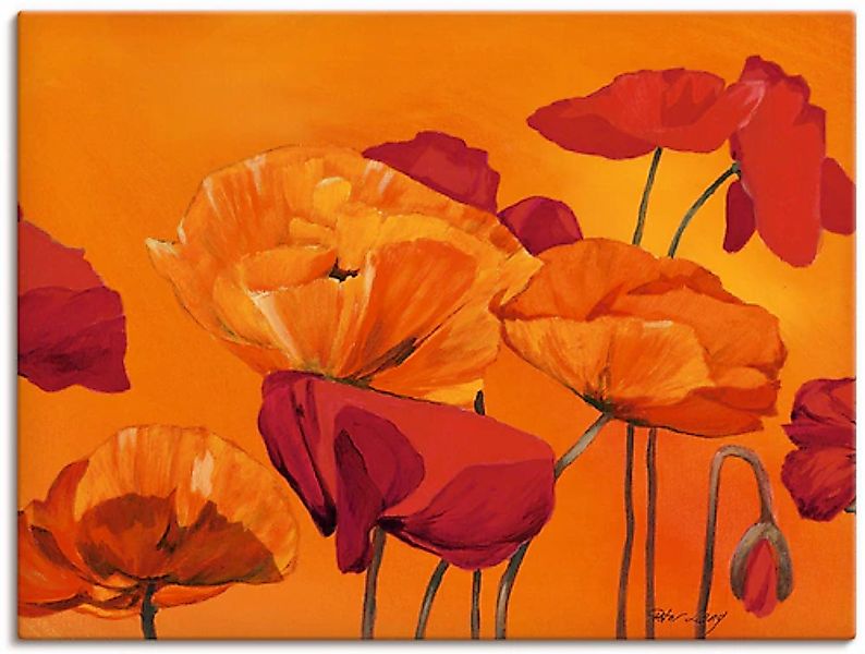 Artland Wandbild »Mohnblume« Blumen 1 Stk. tlg. als Leinwandbild, Poster in günstig online kaufen