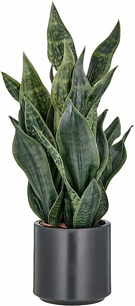 Creativ green Kunstpflanze "Sanseveria Grey Stripe" im eleganten Pflanzgefä günstig online kaufen
