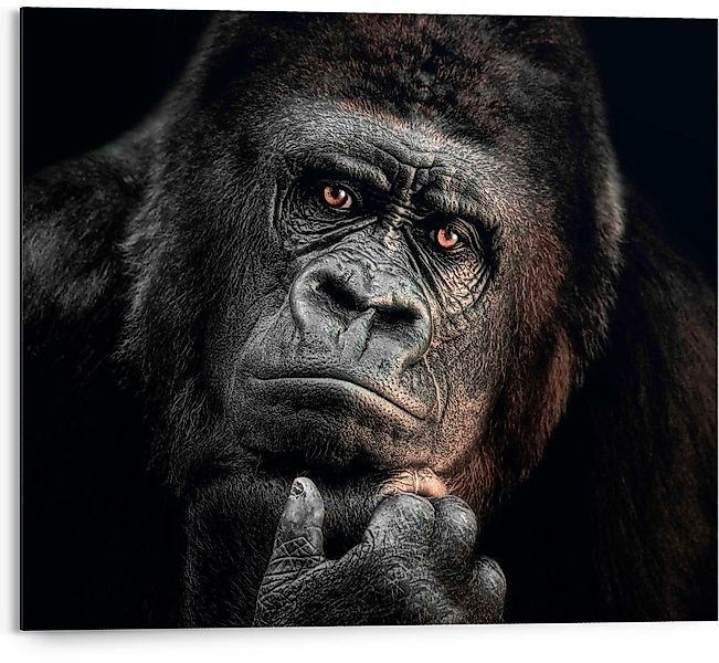 Reinders! Deco-Panel Gorilla günstig online kaufen