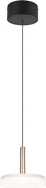 TRIO Leuchten LED Pendelleuchte CELESTE dimmbare LED Hängelampe aus Metall günstig online kaufen