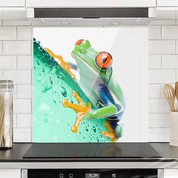 Spritzschutz Frog günstig online kaufen