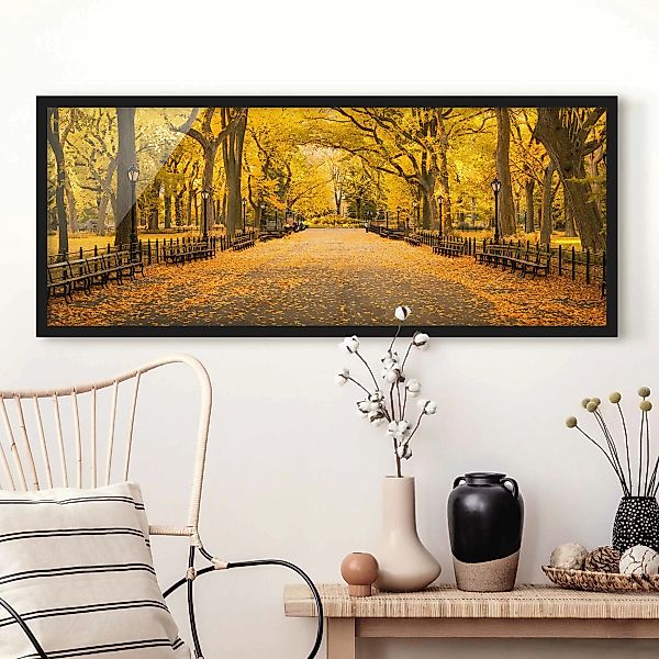 Bild mit Rahmen Herbst im Central Park günstig online kaufen