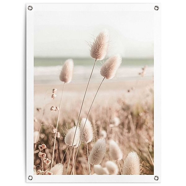 Reinders! Poster Gräser, Outdoor für Garten günstig online kaufen