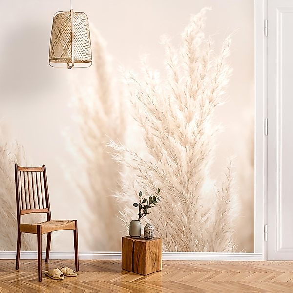 Bilderdepot24 Fototapete Blumen Pampasgras Sonnenlicht Blumentapete günstig online kaufen
