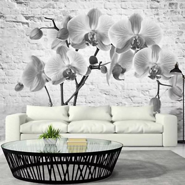 artgeist Fototapete Orchid in Shades of Gray grau/weiß Gr. 350 x 245 günstig online kaufen