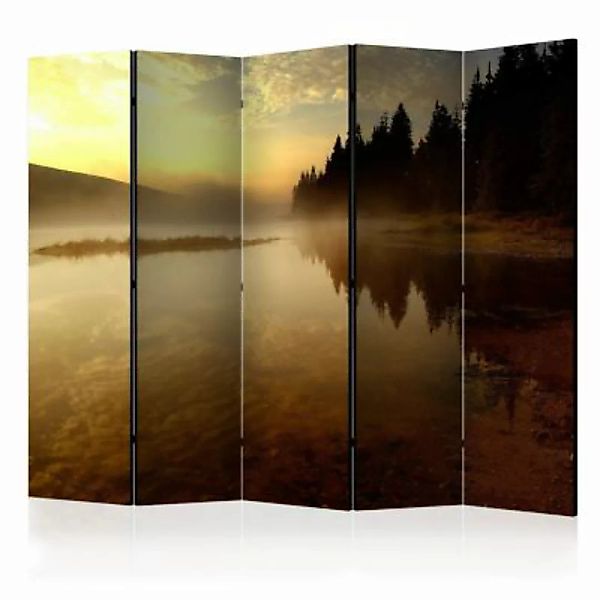 artgeist Paravent Forest and lake II [Room Dividers] mehrfarbig Gr. 225 x 1 günstig online kaufen