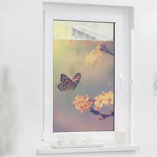LICHTBLICK Fensterfolie Schmetterling orange B/L: ca. 100x130 cm günstig online kaufen