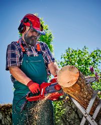 Einhell Elektro-Kettensäge GC-EC 1935, 35 cm günstig online kaufen