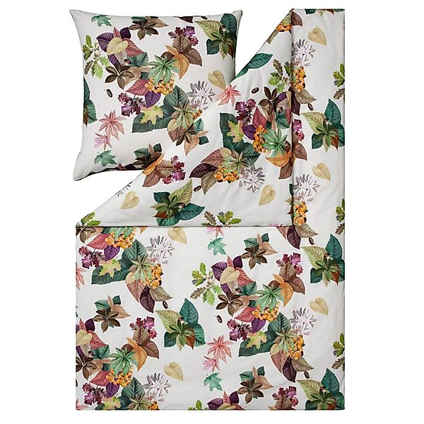 Estella Bettwäsche Maple 4443 985 Multicolor günstig online kaufen
