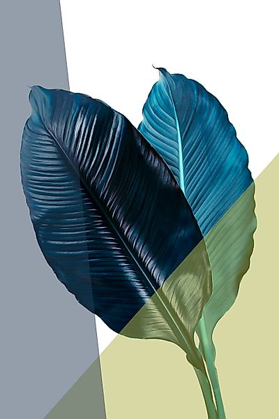 queence Acrylglasbild »Blätter« Blätter   Blätterbilder   Kunst   Pflanzen günstig online kaufen
