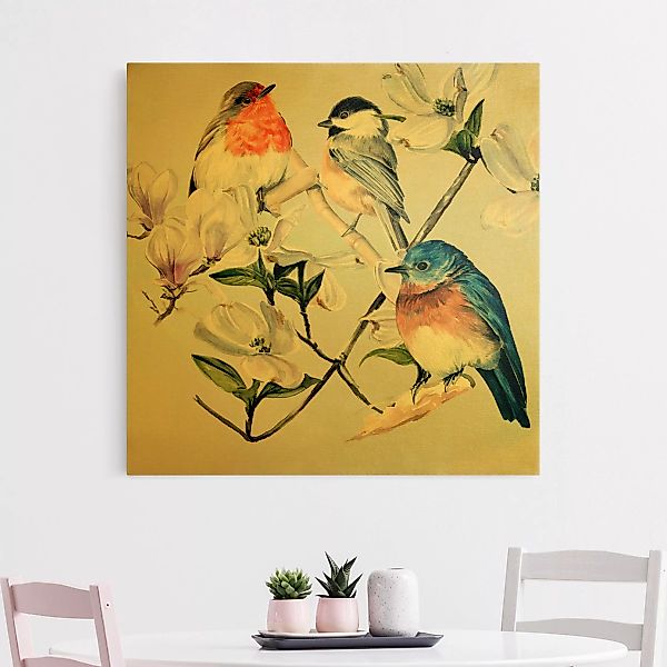 Leinwandbild Gold Bunte Vögel auf einem Magnolienast I günstig online kaufen