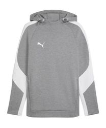 PUMA Sweatshirt PUMA TeamEvostripe Hoody Herren günstig online kaufen