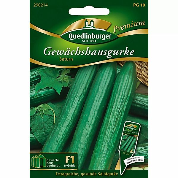 Quedlinburger Gewächshaus-Salatgurke Saturn Loses Saatgut günstig online kaufen