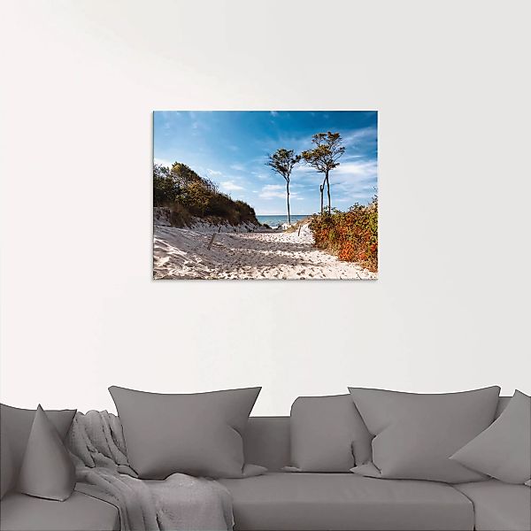 Artland Glasbild "Weststrand Darss", Strand, (1 St.) günstig online kaufen