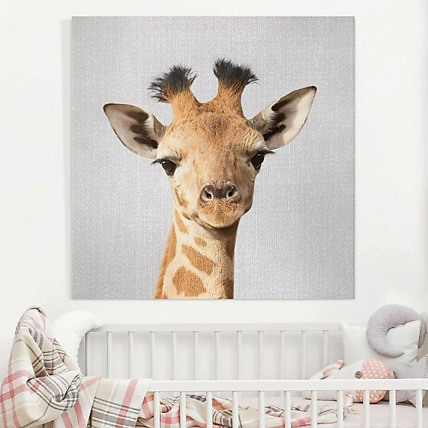 Leinwandbild Baby Giraffe Gandalf günstig online kaufen