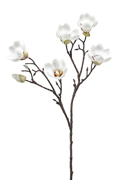 Kunstblume Blütenzweig, Emerald, Höhe 65 cm günstig online kaufen