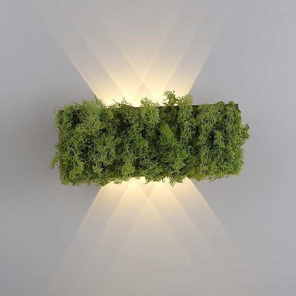 LED Wandleuchte Green Carlo in Moos und Natur-dunkel 4,8W 130lm günstig online kaufen