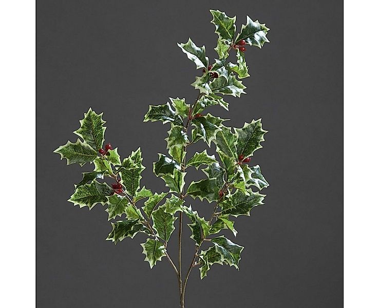 Winterliche Kunstpflanze Ilexzweig Grün-Weiß mit roten Beeren Höhe 52cm Kun günstig online kaufen