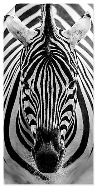 Artland Wandbild "Zebra", Wildtiere, (1 St.), als Leinwandbild, Poster, Wan günstig online kaufen