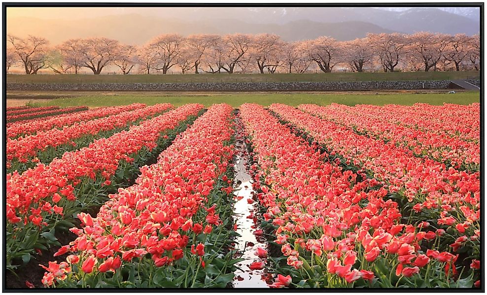 Papermoon Infrarotheizung »Blumenfelder«, sehr angenehme Strahlungswärme günstig online kaufen