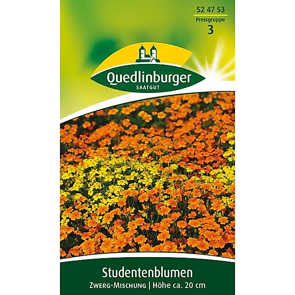Quedlinburger Studentenblumen ''Zwerg-Mischung'' günstig online kaufen