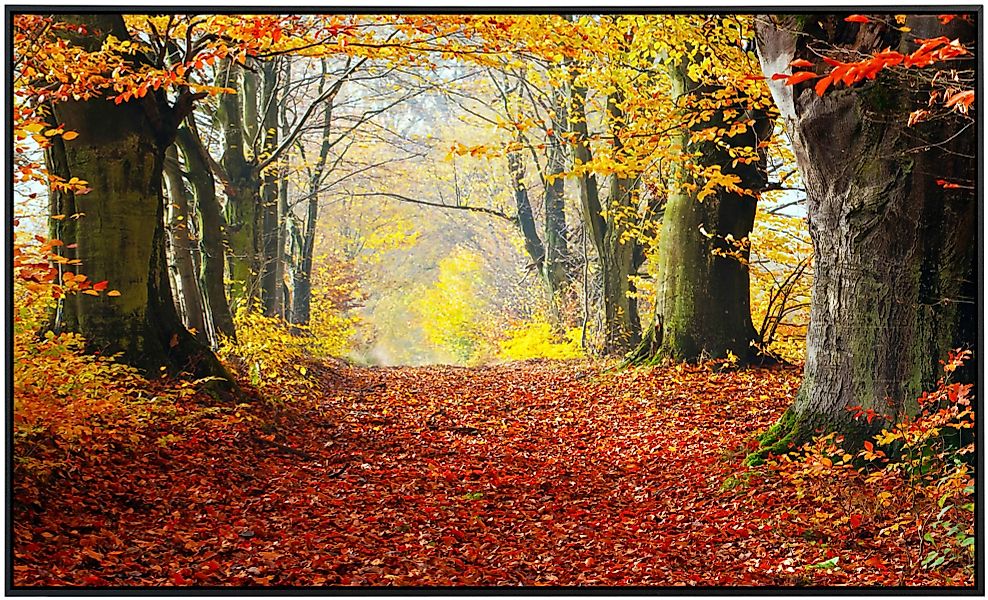 Papermoon Infrarotheizung »Herbst Waldweg«, sehr angenehme Strahlungswärme günstig online kaufen