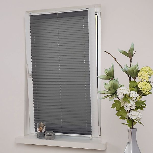 Liedeco Plissee "Klemmfix-Plissee verspannt" Lichtschutz ohne Bohren verspa günstig online kaufen