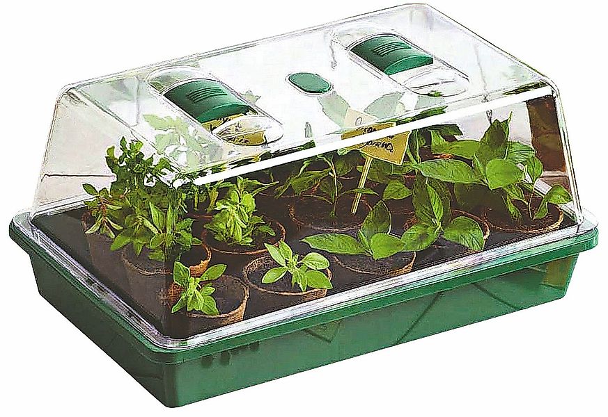 Spetebo Anzuchttopf Mini Gewächshaus - 38 günstig online kaufen