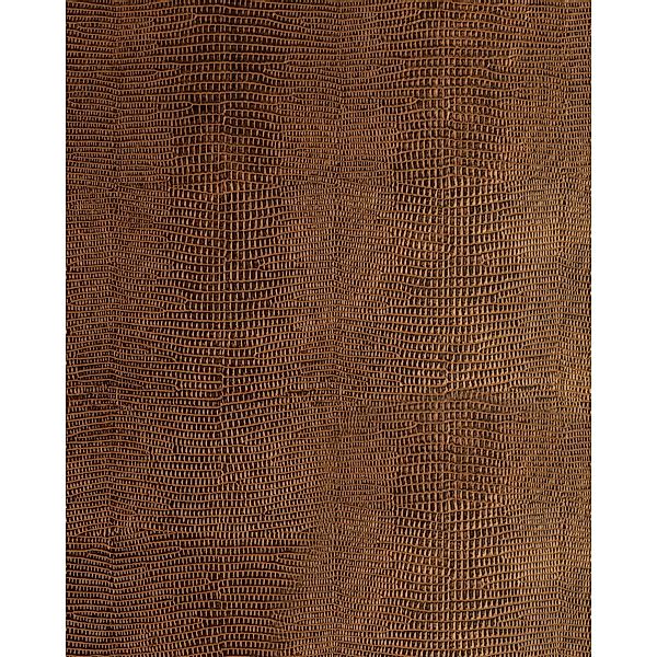 WALLFACE 19777-NA Antigrav LEGUAN Copper Wandpaneel Leguan Optik Kupfer 2,6 günstig online kaufen