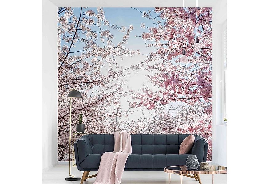 Bilderdepot24 Fototapete Blumen Kirschblütenzweigen Blumentapete Floral Nat günstig online kaufen