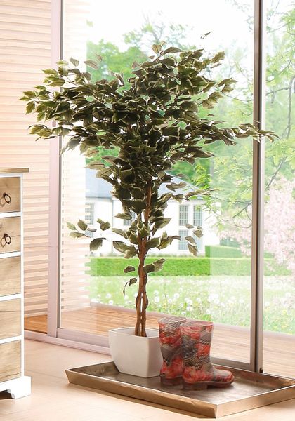 Kunstpflanze Ficus Benjamini Ficus Benjamini, Creativ günstig online kaufen
