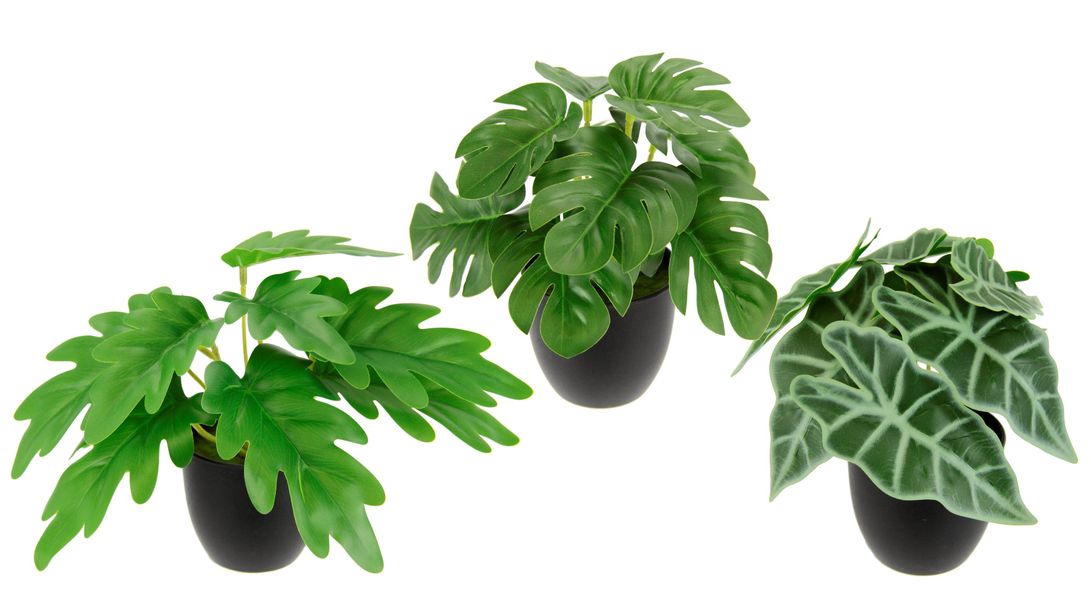 I.GE.A. Kunstpflanze "Künstliches Zimmerpflanzen-Set" Im Topf 3er Set Grünp günstig online kaufen