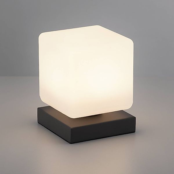 Paul Neuhaus Tischleuchte "DADOA", 1 flammig, Leuchtmittel LED-Board  LED f günstig online kaufen