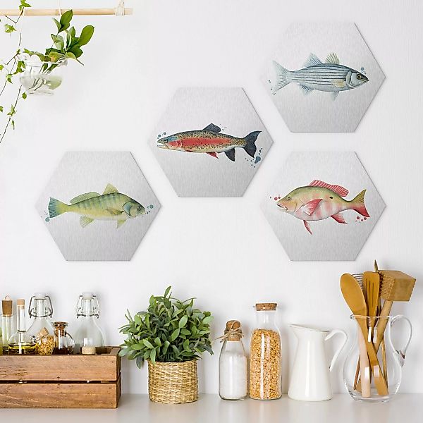 4-teiliges Hexagon-Alu-Dibond Bild Farbfang - Fische Set I günstig online kaufen