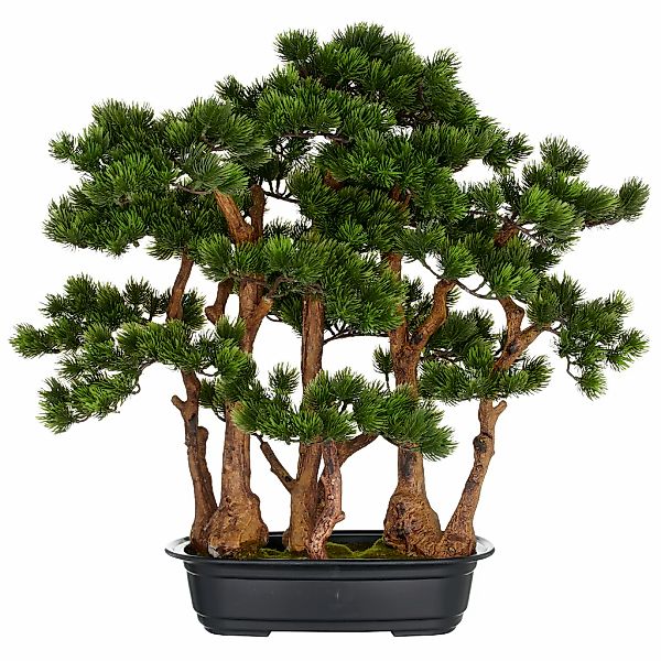 Creativ green Kunstbonsai "Bonsai Kiefer", mit detailgetreuer Gestaltung günstig online kaufen