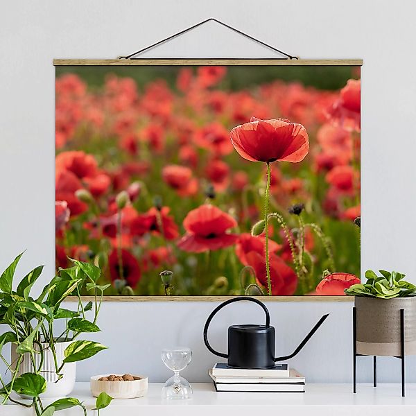 Stoffbild Blumen mit Posterleisten - Querformat Mohnfeld im Sonnenlicht günstig online kaufen