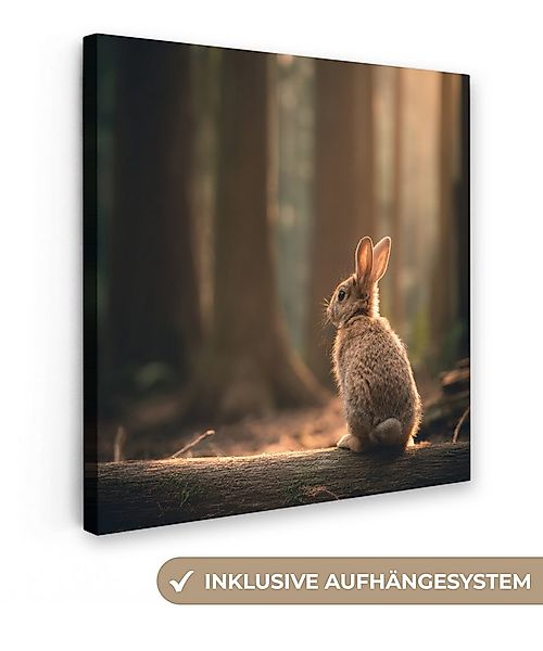 OneMillionCanvasses® Leinwandbild Kaninchen - Wald - Sonnenstrahlen, Fotodr günstig online kaufen
