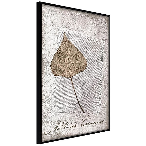 Poster - Dried Leaf günstig online kaufen