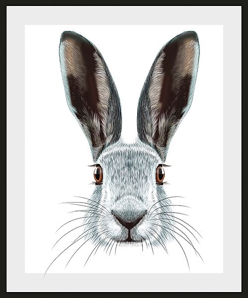 queence Bild »Selma«, Hase-Hasen-Schwarz-Weiß-Kunst-Haustiere, (1 St.), HD günstig online kaufen