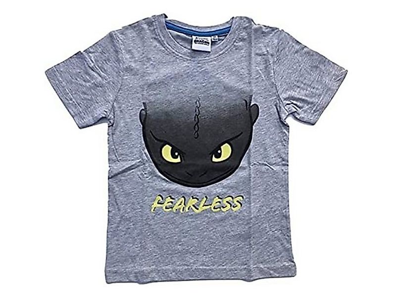 Dragons T-Shirt Dragons "Drachenzähmen leicht gemacht" T-Shirt günstig online kaufen