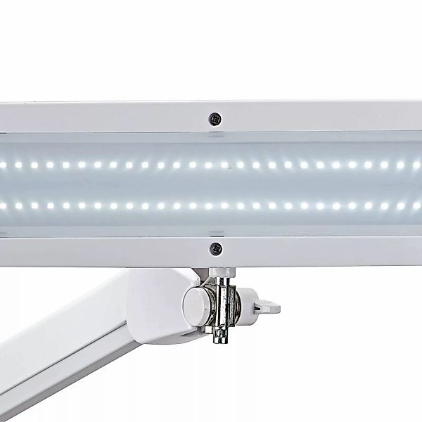 LED-Arbeitsplatzleuchte MAULintro, weiß, 52 cm, Klemmfuß günstig online kaufen