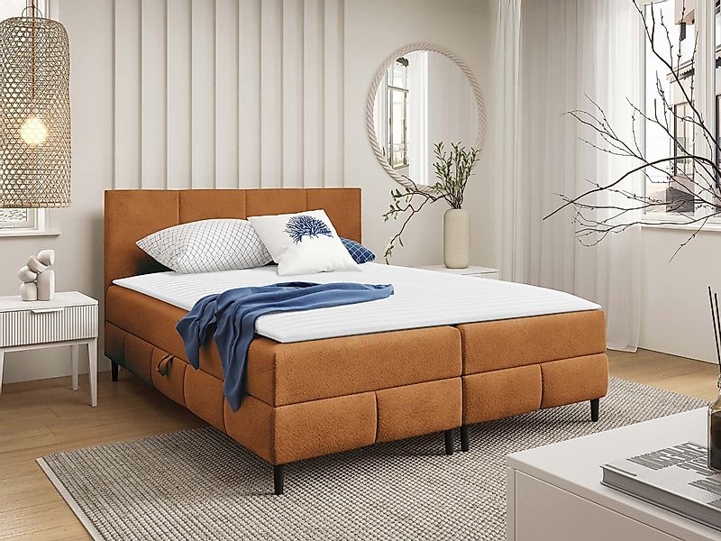MIRJAN24 Boxspringbett Box Best 2 (mit günstig online kaufen