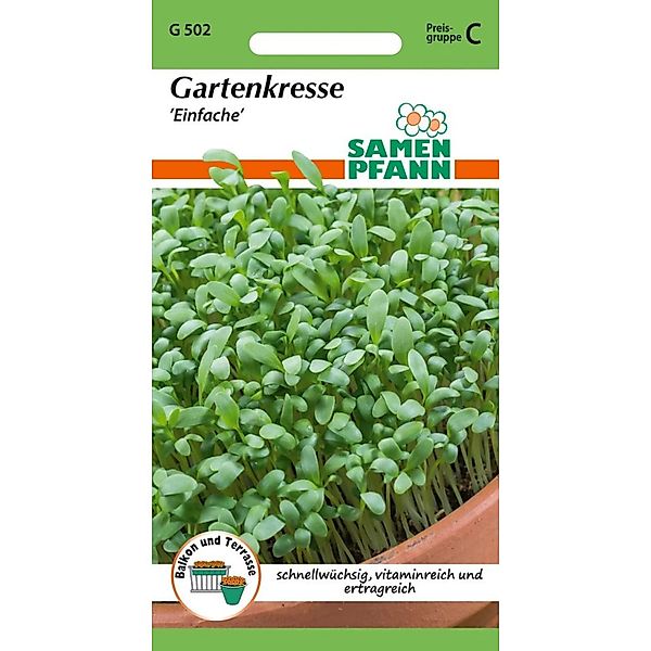 SAMEN PFANN Gartenkresse Kleinpackung günstig online kaufen