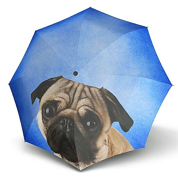 doppler® Taschenregenschirm Modern Art Mini Lazy günstig online kaufen