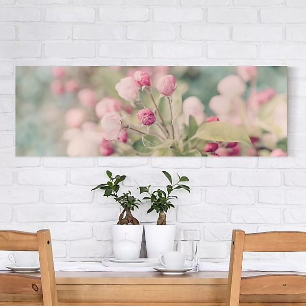 Leinwandbild Apfelblüte Bokeh rosa günstig online kaufen