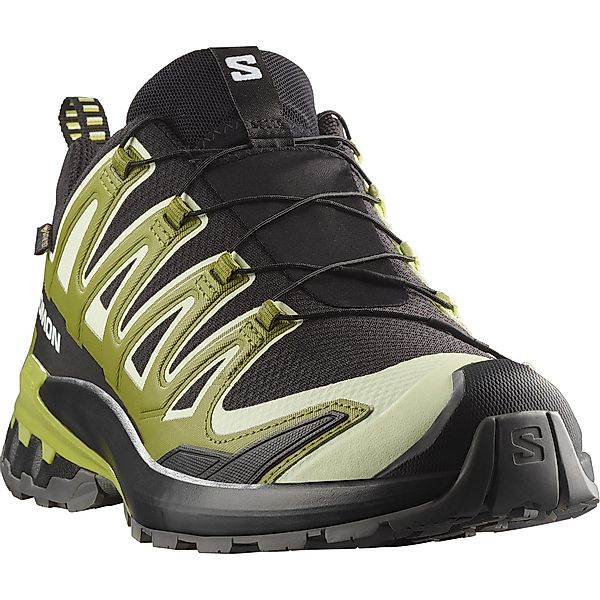 Salomon XA PRO 3D V9 GTX günstig online kaufen