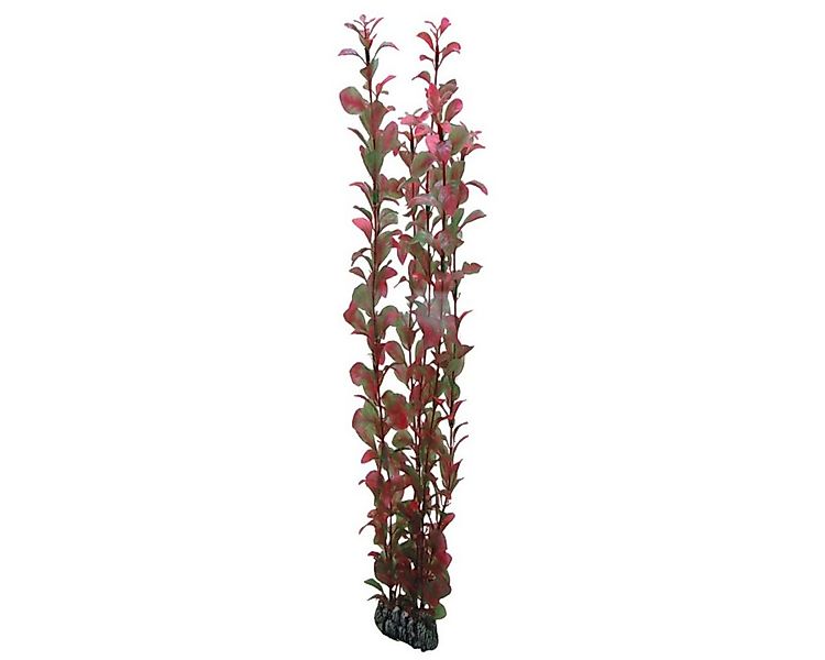 HOBBY Aquariendeko Ludwigia, 60 cm Kunststoffpflanze für Aquarien günstig online kaufen