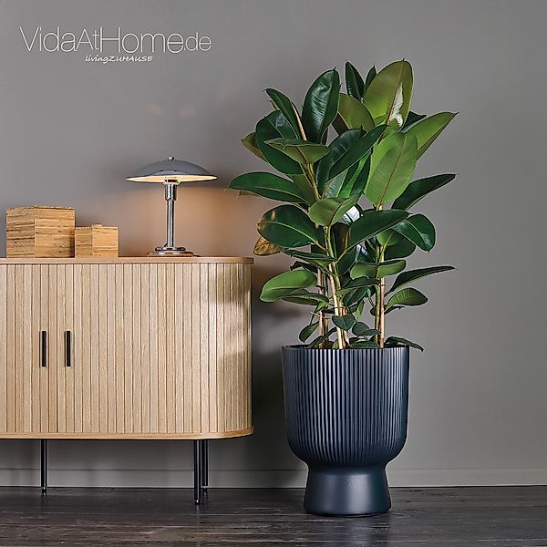VidaAtHome.de Blumentopf Design-Pflanzgefäß ALVY ø 40er, günstig online kaufen