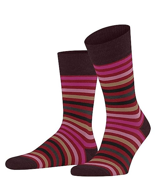 FALKE Socken Tinted Stripe (1-Paar) mit merzerisierter Baumwolle günstig online kaufen